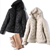 Fjorda Ice Hooded Jacket