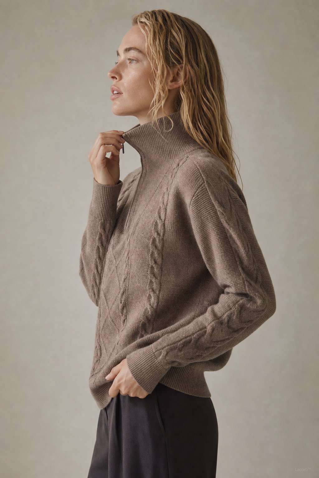 Anouk Quarter-Zip Sweater — Brown, banana_republic product shot