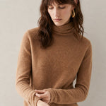 Victoria Mot'e Cashmere Turtleneck, banana_republic product shot